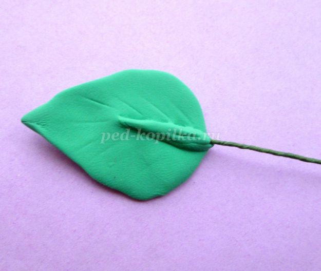 Сердечные каллы: часть 3 Сердечные каллы: часть 3