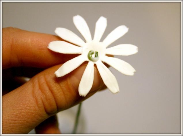 Ромашка из самозастывающей полимерной глины: часть 2