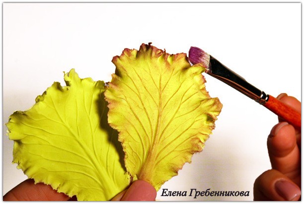 Брассика из холодного фарфора: мастер-класс, часть 3