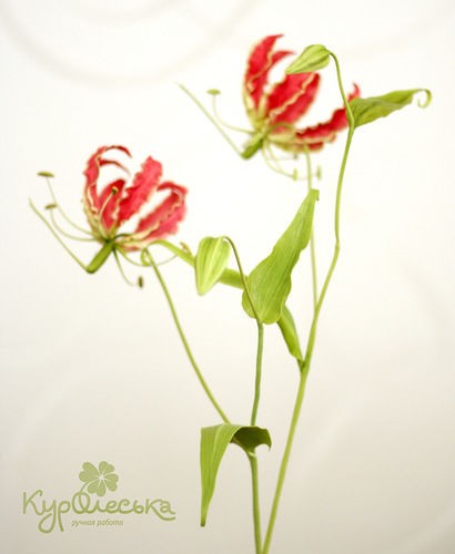 Глориоза: мастер-класс по лепке цветка в технике керамической флористики, часть 5