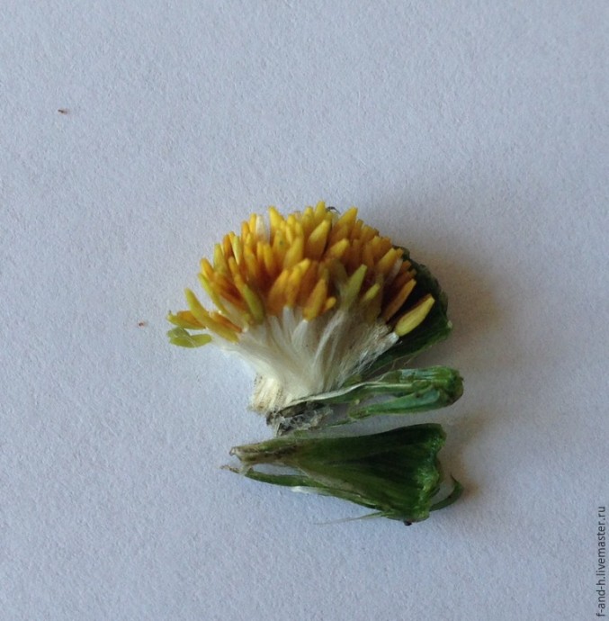 ​Как сделать тычинки для цветов за 5 минут