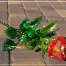 Восхитительная роза