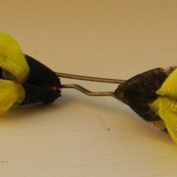 Пчёлка в технике канзаши: часть 2