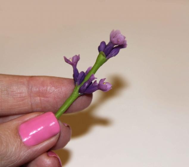 ​Веточка лаванды: мастер-класс, часть 5