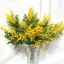 Мимоза из бисера