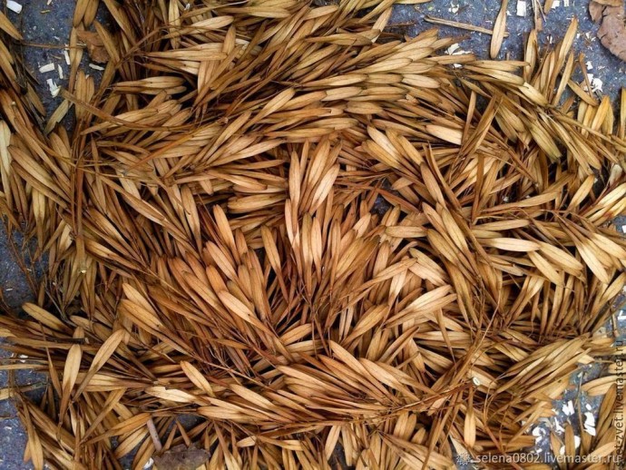 Мастерим ёлку из природных материалов: часть 1