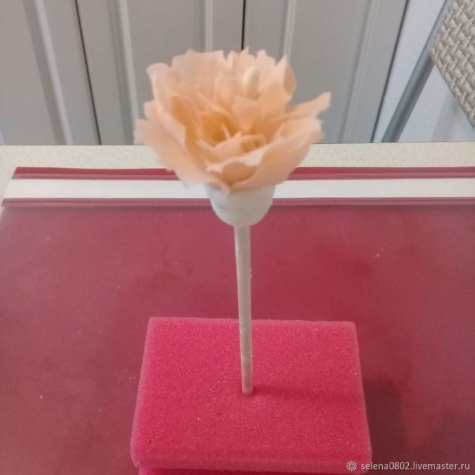 Создаём пион из холодного фарфора: часть 2