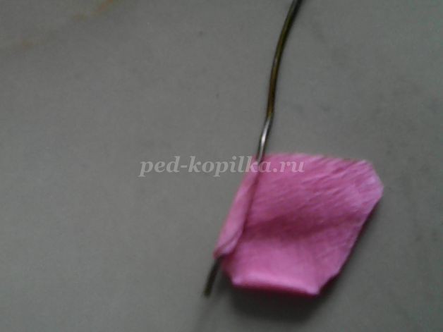 ​Топиарий "Дерево любви": часть 1