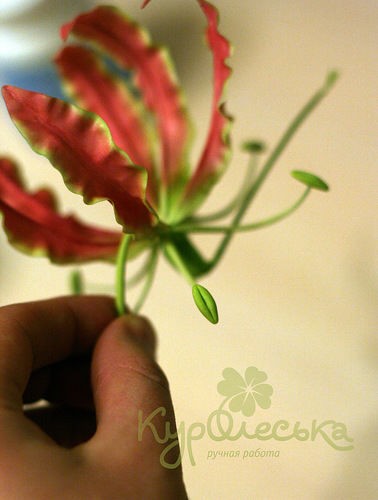 Глориоза: мастер-класс по лепке цветка в технике керамической флористики, часть 5