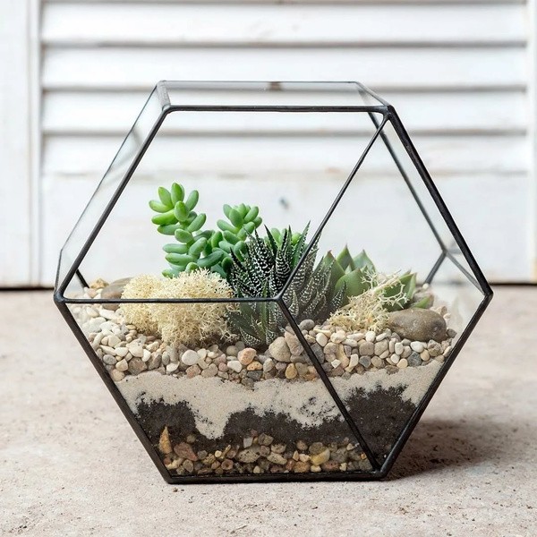 ​Создание флорариумов