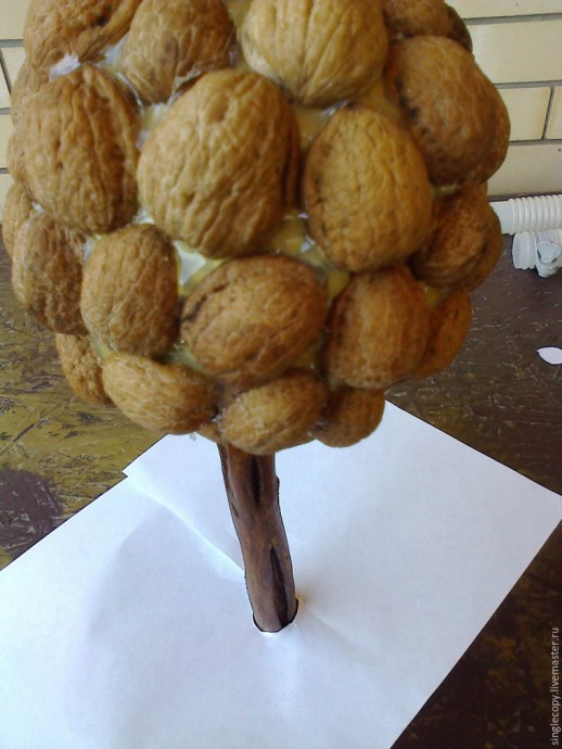 Делаем топиарий с золотыми орешками