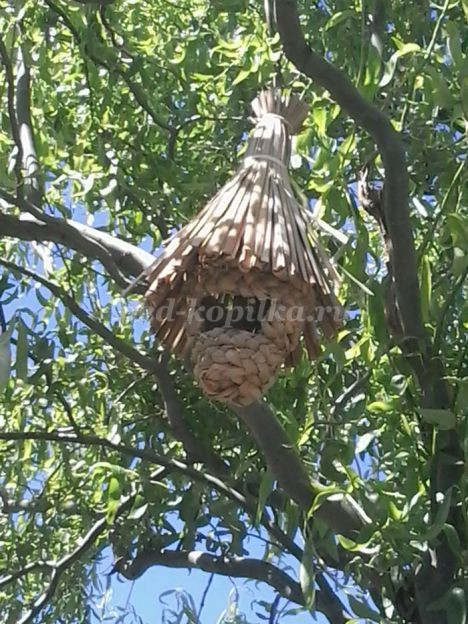 Гнездо из природного материала: часть 2