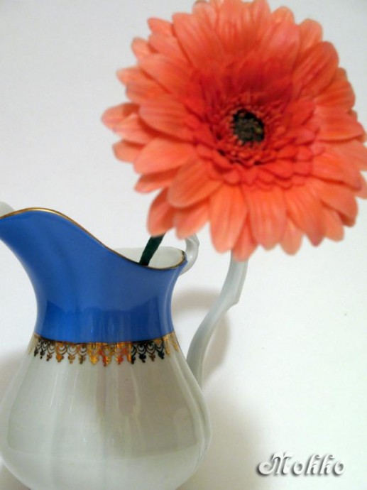 Лепка цветка герберы из полимерной глины: часть 3