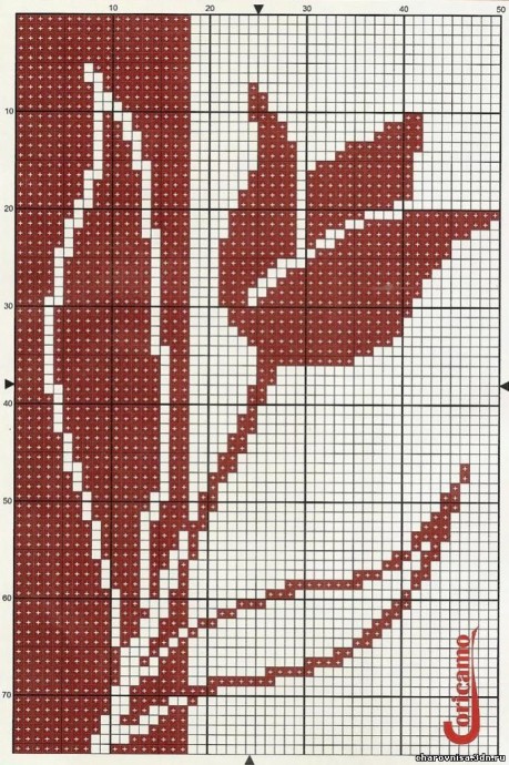 Вышивка с тюльпанами Вышивка с тюльпанами