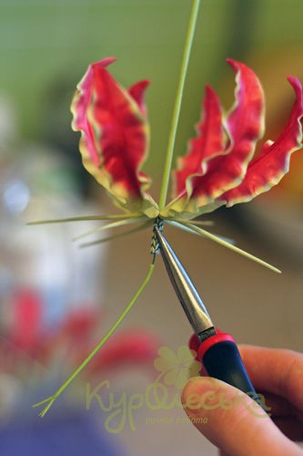 Глориоза: мастер-класс по лепке цветка в технике керамической флористики, часть 4