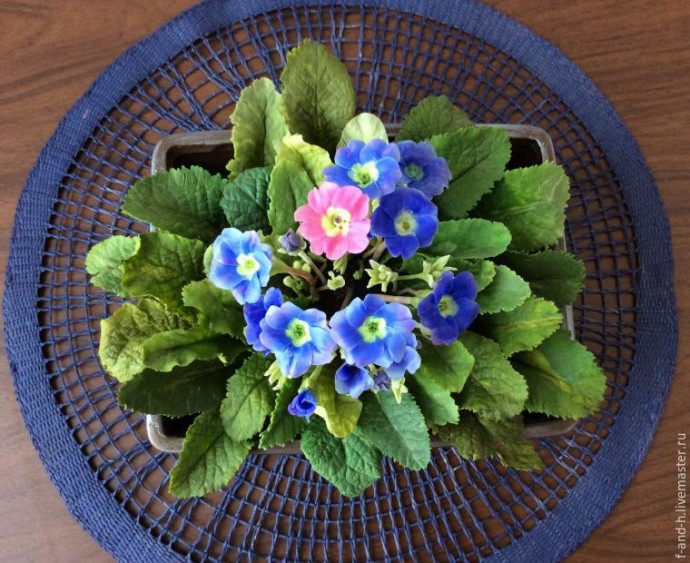 ​Делаем цветочек примулы: часть 1