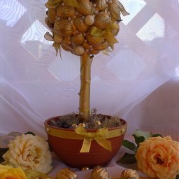 Делаем топиарий с "золотыми" орешками