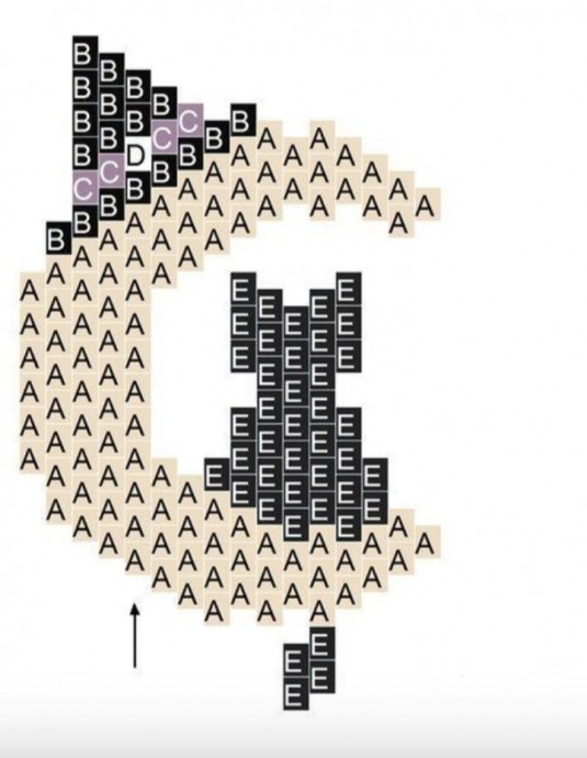 Кошка на луне