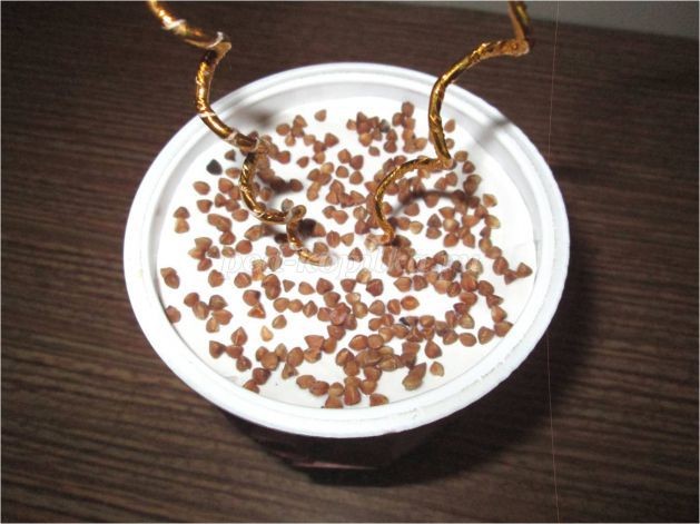 Топиарий "Дерево с пожеланиями" Топиарий "Дерево с пожеланиями"