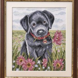 ​Пес с цветком