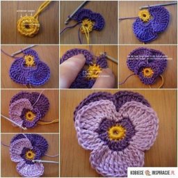 Анютины глазки