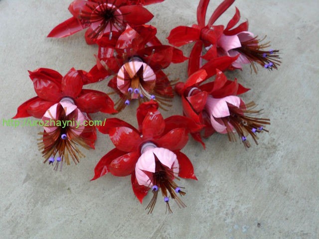 Цветы из пластиковых бутылок