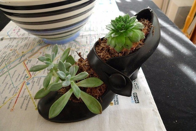 Оригинальное кашпо из старых привычных вещей