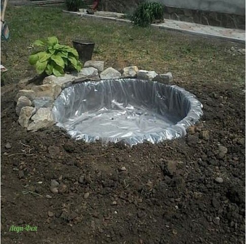 Пруд - идея!