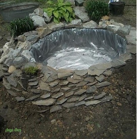 Пруд - идея!