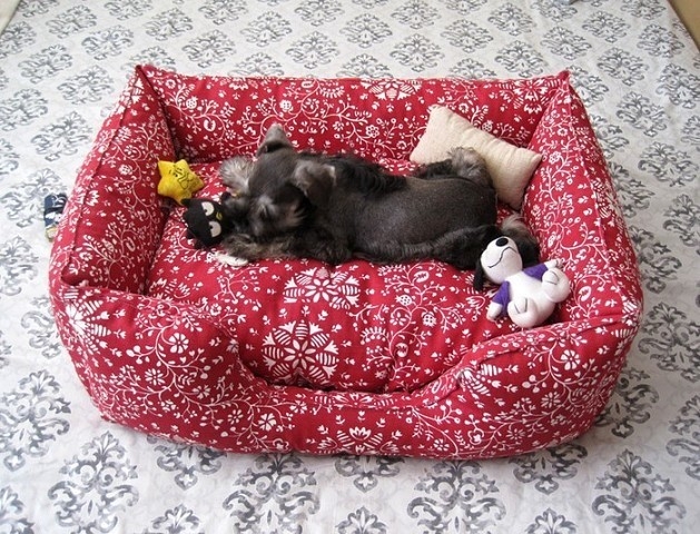 Вашему питомцу понравится эта идея!