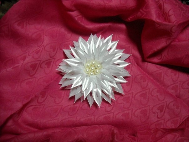 МК Мини георгин