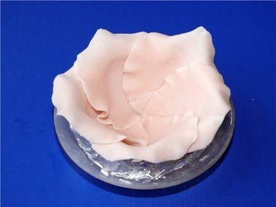 Съедобные розы