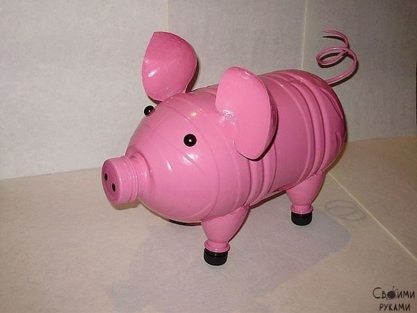 Поросята для дачи