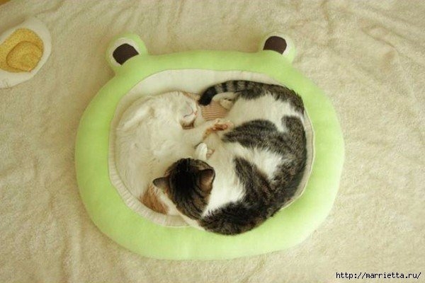 Уютная кроватка для любой кошечки.