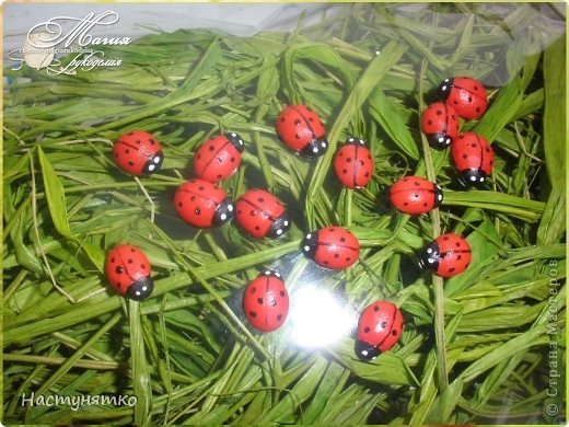 Божьи коровки из фасоли.