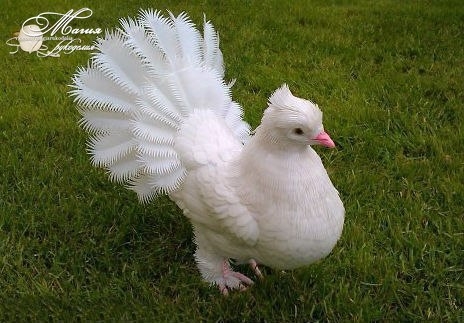 Голубь из пластиковых бутылок.