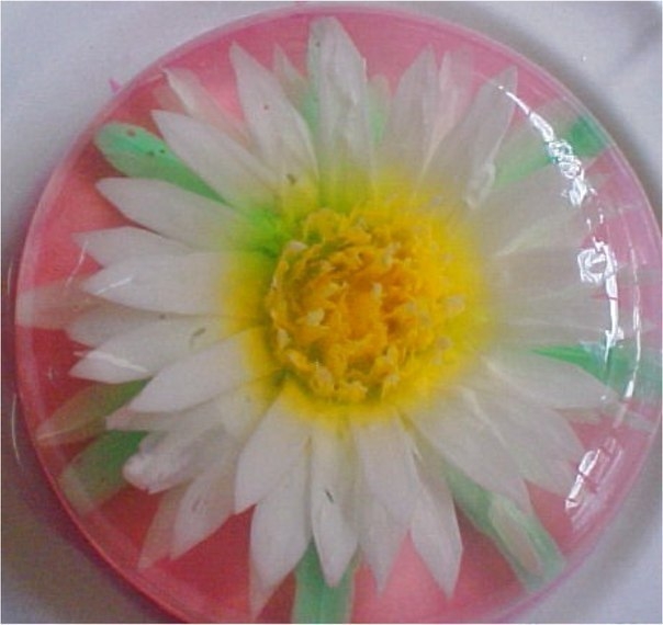 3D цветы в желе