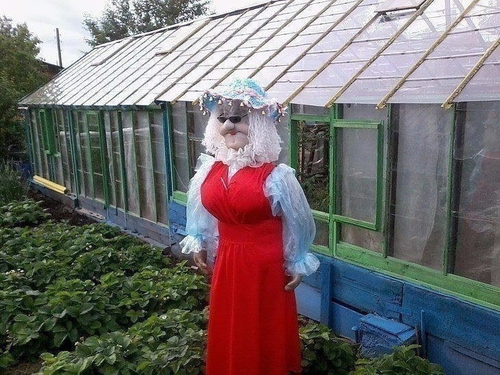 Пугало в огороде должно быть красопетным. Пугало в огороде должно быть красопетным.