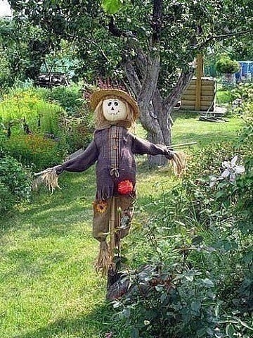 Пугало в огороде должно быть красопетным. Пугало в огороде должно быть красопетным.