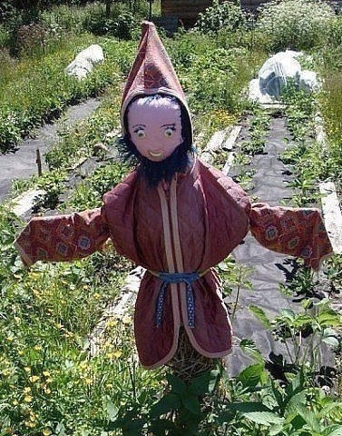 Пугало в огороде должно быть красопетным. Пугало в огороде должно быть красопетным.