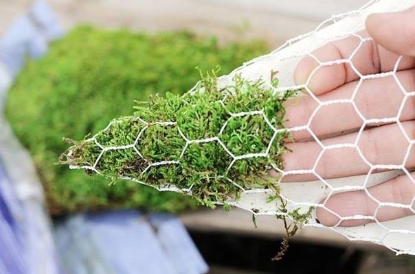 Милая идейка для дачи (или дома).