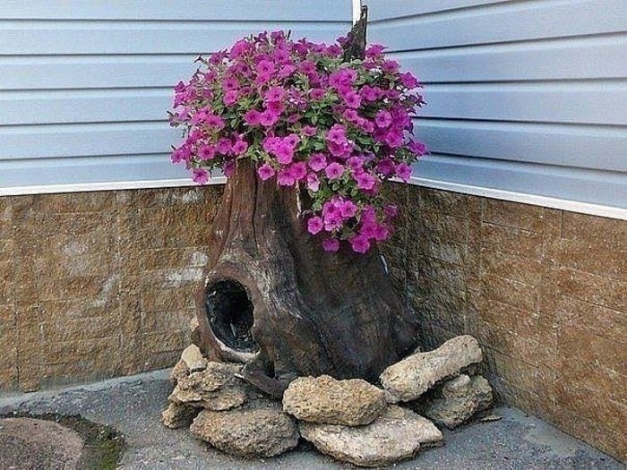 В умелых руках и пень цветет.