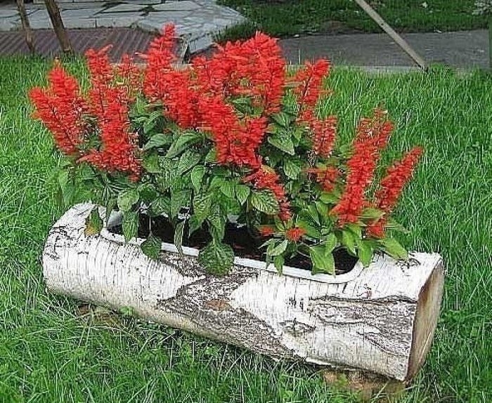 В умелых руках и пень цветет.