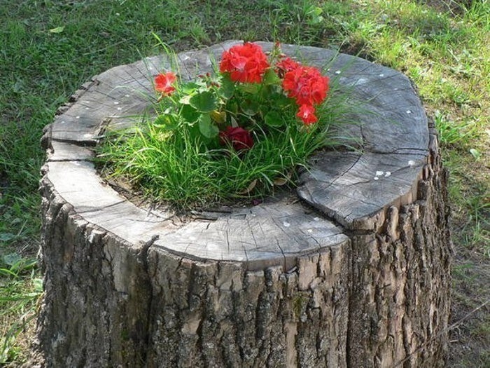 В умелых руках и пень цветет.