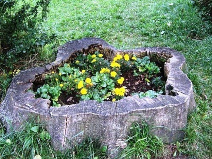 В умелых руках и пень цветет.