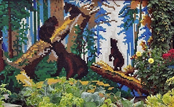 Всего лишь пластиковые крышки.