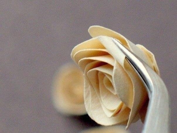 Объемные розы из бумаги для открыток.