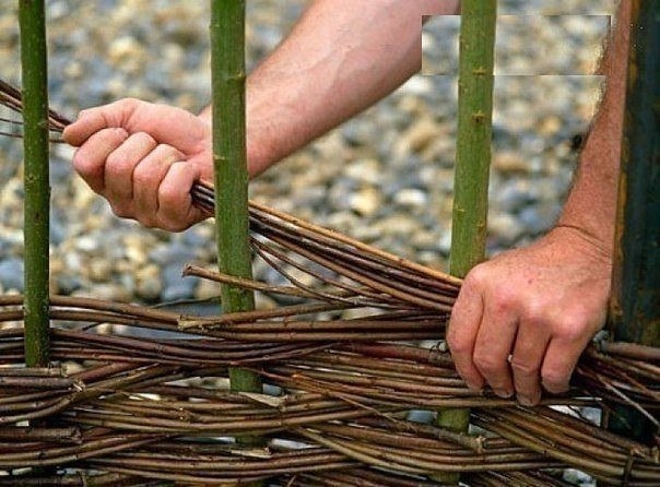 Плетень на даче своими руками.