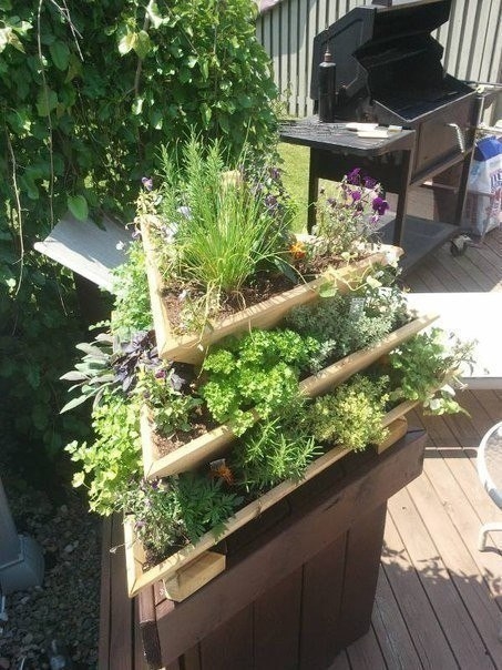 Идея для сада: сборная клумба.