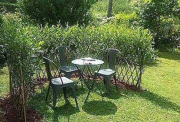 Живые беседки из укорененной ивы